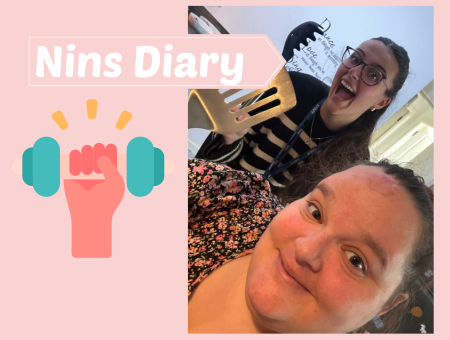 Nins Diary Launch