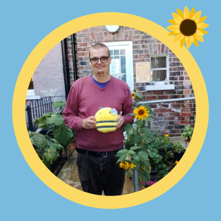 York Sunflower Competition